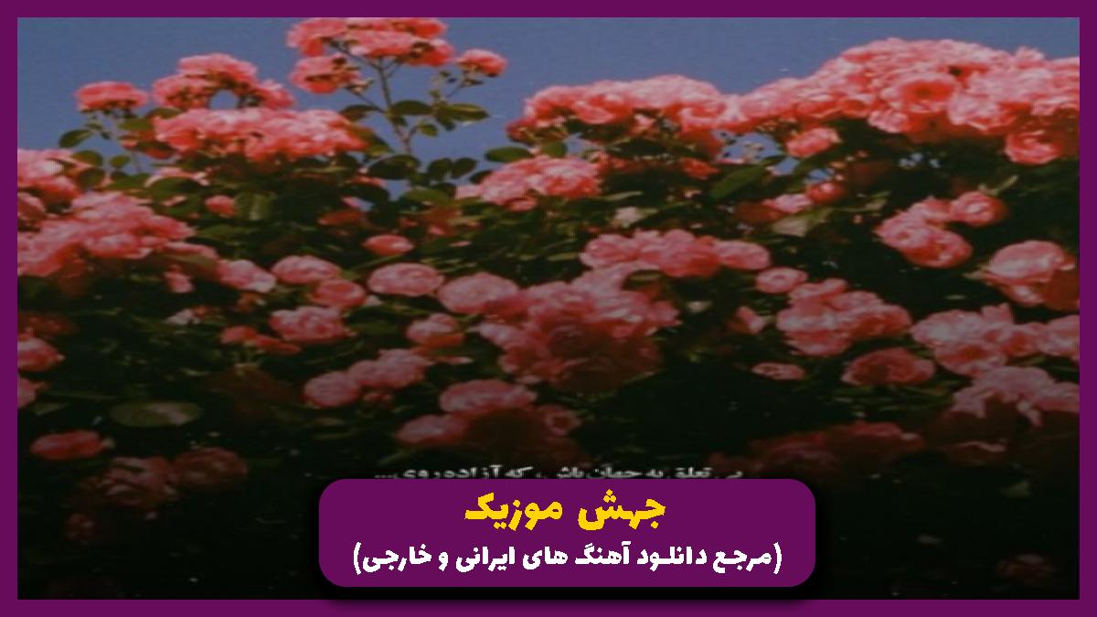 عکس آهنگ یکی یدونمی عشقم مال منی عشقم از ناصر پورکرم